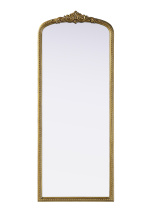 Elegant Lighting MR7F2460AB - Naomi Vintage Resin Mirror 24x60 in Antique Brass