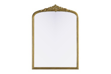 Elegant Lighting MR7F3042AB - Naomi Vintage Resin Mirror 30x42 in Antique Brass