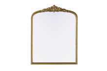 Elegant Lighting MR7F3342AB - Naomi Vintage Resin Mirror 33x42 in Antique Brass
